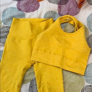 Alphalete revival R6 leggings and vault bra